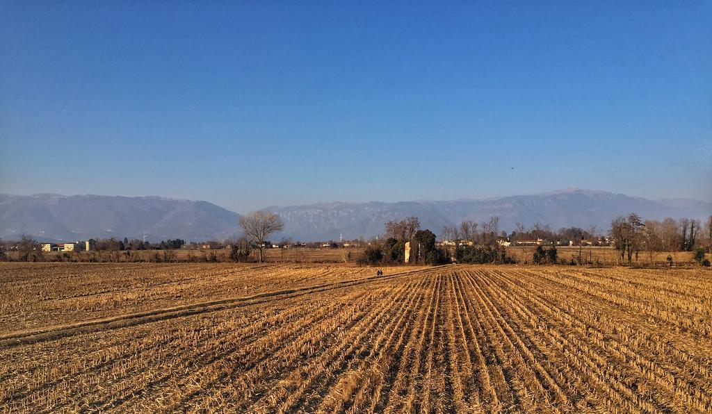 Agriturismo Borgo Tecla Rosa Bagian luar foto