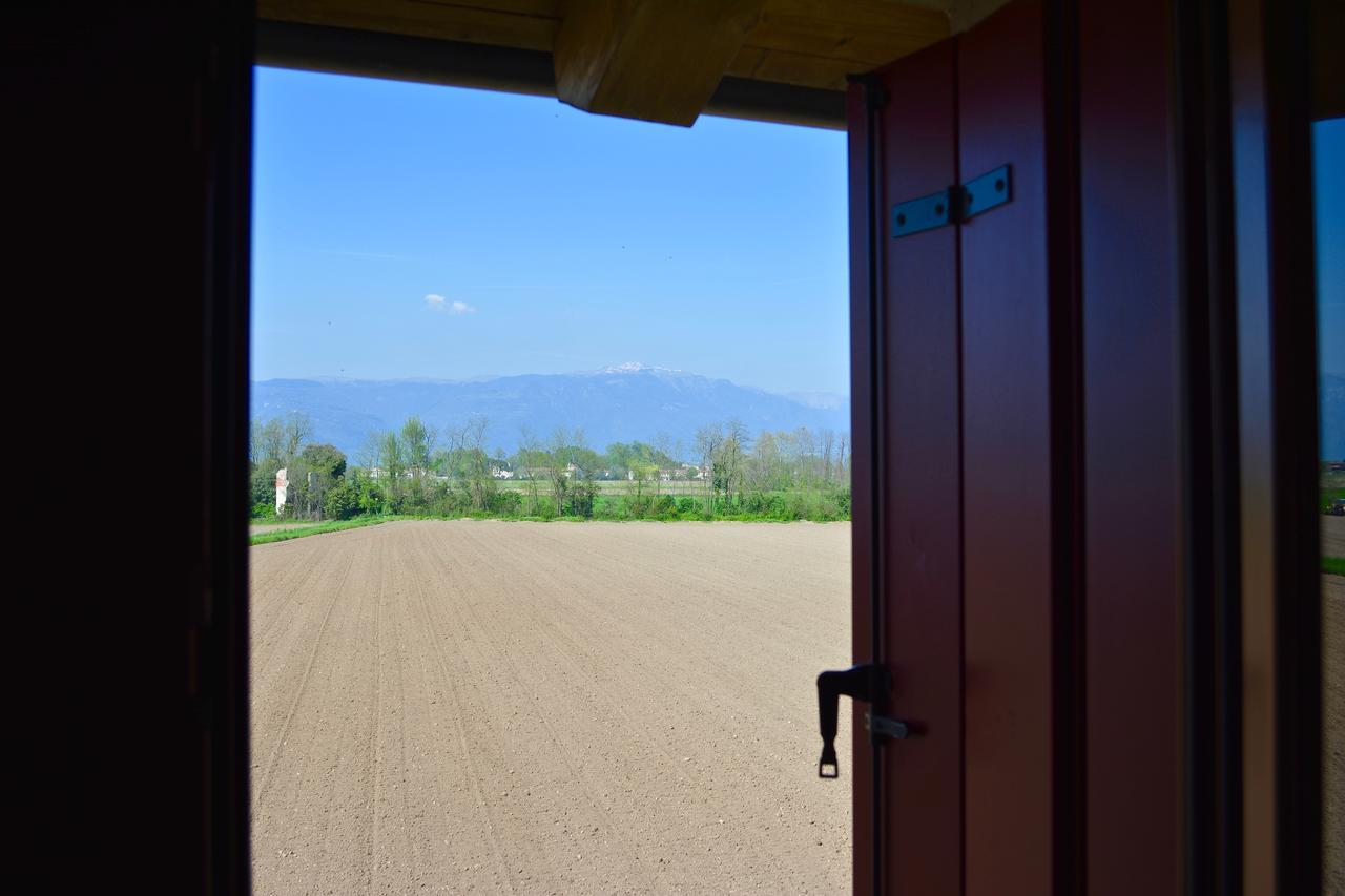 Agriturismo Borgo Tecla Rosa Bagian luar foto