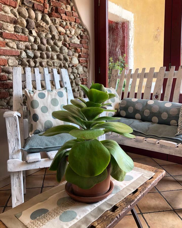 Agriturismo Borgo Tecla Rosa Bagian luar foto